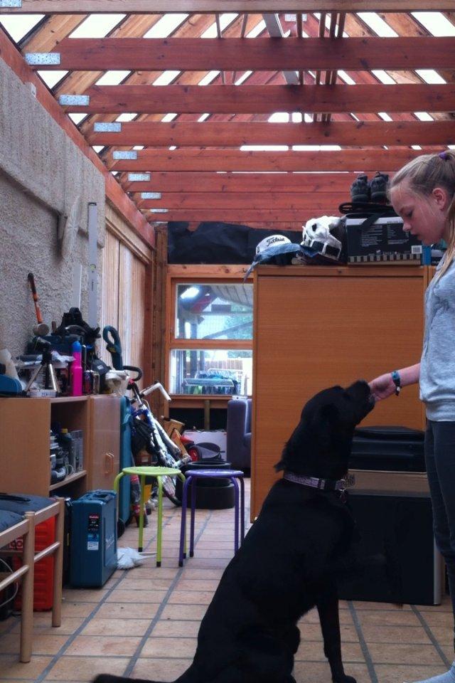 Blanding af racer Kita (Min bedsteveninde)<3 - Tager godbid pænt og forsigtigt billede 11