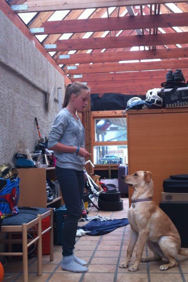 Blanding af racer Liva (Den lille)<3<3 - Sit billede 8