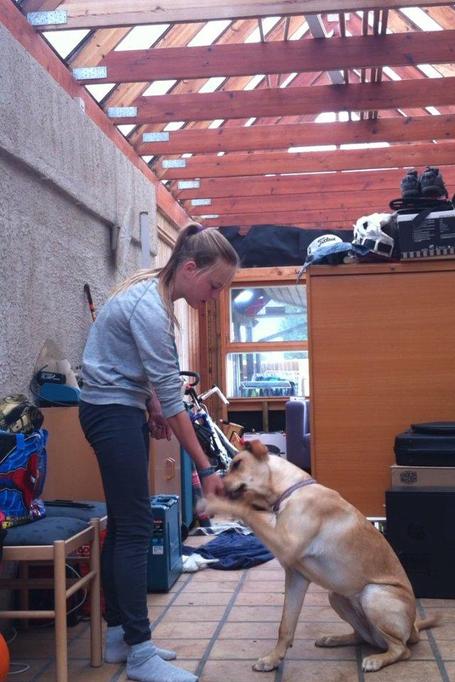 Blanding af racer Liva (Den lille)<3<3 - Gi pote billede 11