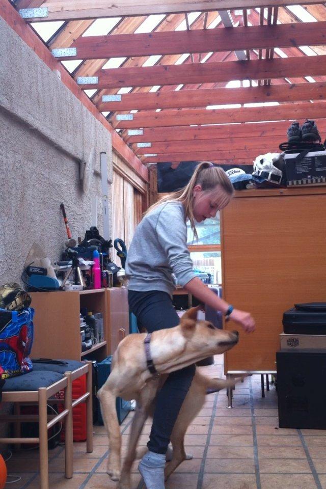 Blanding af racer Liva (Den lille)<3<3 - Igennem ben billede 12