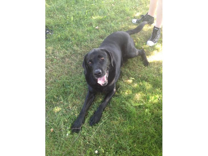 {{currentPhoto.altText}} billede {{currentPhoto.number}}