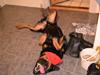 Rottweiler Dixie