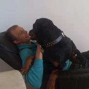Rottweiler Hartmann´s Arnold