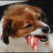 Blanding af racer Buddy Love