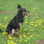 Blanding af racer Gucci *treben*<3