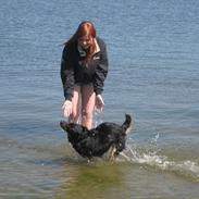 Blanding af racer Gucci *treben*<3