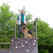 Schæferhund <3 Nala <3