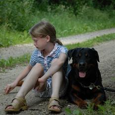 Rottweiler Hektor (Tarokye Ø-Cafu)