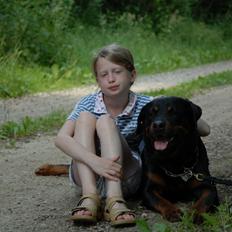 Rottweiler Hektor (Tarokye Ø-Cafu)