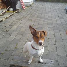 Blanding af racer signe<3