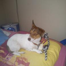 Blanding af racer signe<3