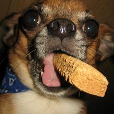 Blanding af racer Chui