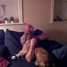 Cocker spaniel Nikita