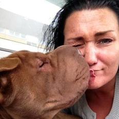 Shar pei Betty