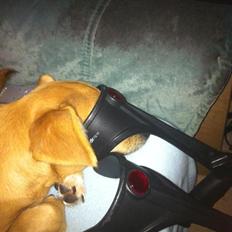 Blanding af racer Bailey