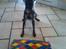 Dvaergpinscher Rødkildes Lucka - Lucka's 1 års fødselsdag ;D