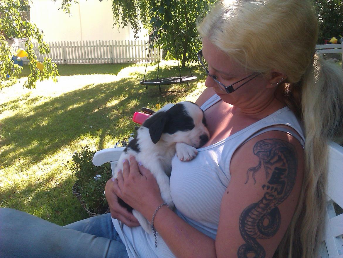 Blanding af racer Aksel - første besøg, 5,5 uger billede 2