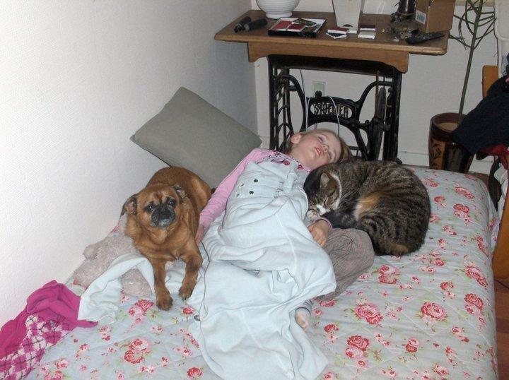 Griffon petit brabancon Junior billede 4