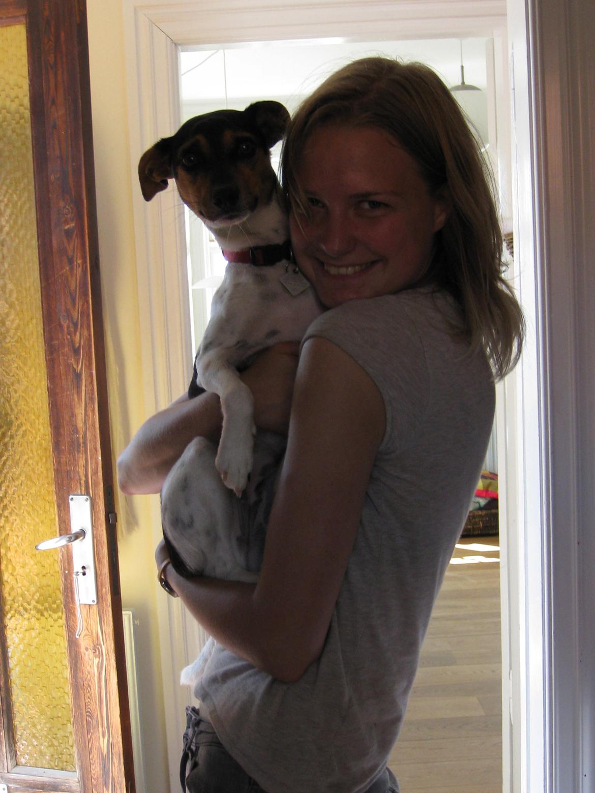 Dansk svensk gaardhund Björk<'3 - 20 # Min elskede drømmehund - tak for 3 fantastiske år<'3 Foto: Krista 08.07.12 billede 20