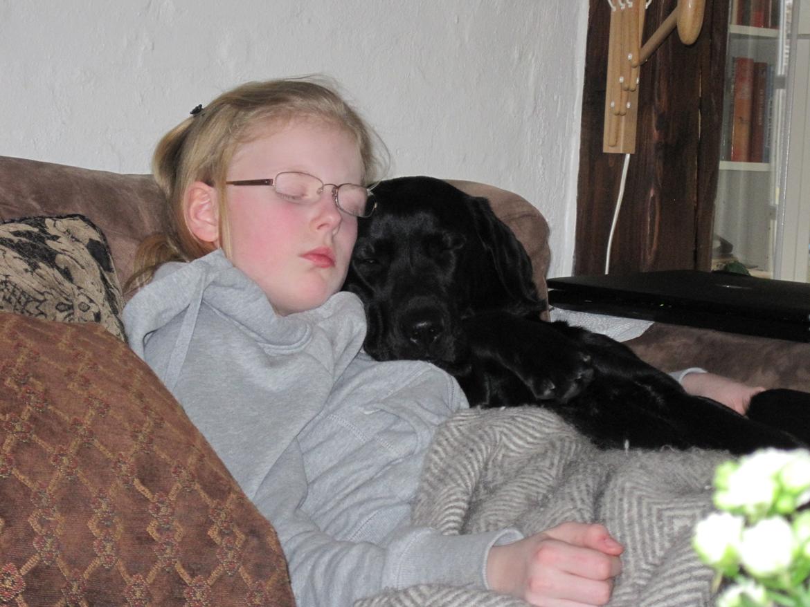 Labrador retriever Maggie - Min lillesøster og Maggie :-) billede 8