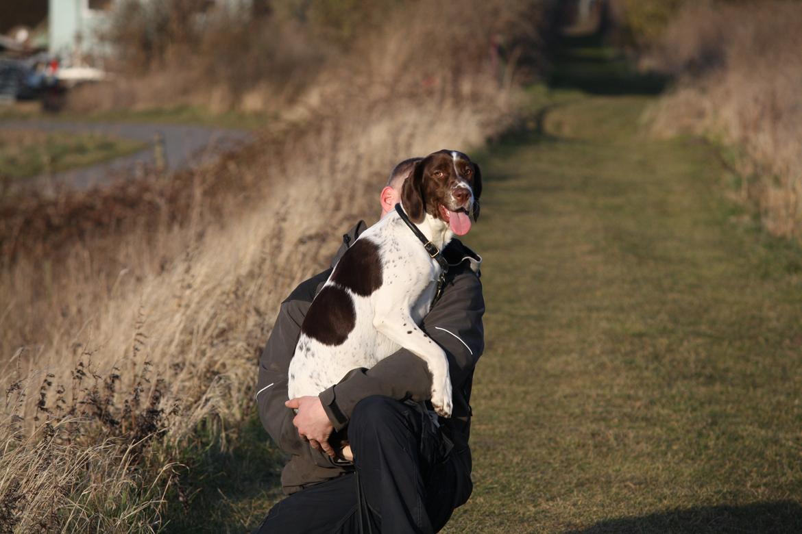 Blanding af racer Sally billede 18