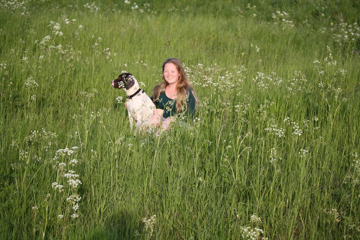 Blanding af racer Sally billede 20