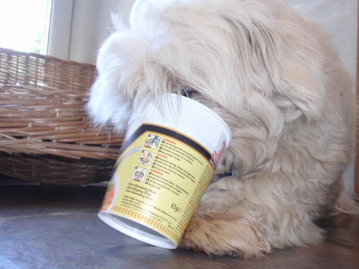 Blanding af racer Walde billede 4