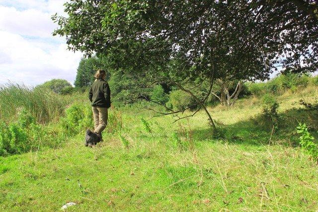 Dværgpuddel Thomsen - Ud på nye eventyr!! billede 20