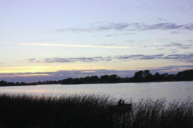 Dværgpuddel Thomsen - Vi 2! Ude at ro! billede 4