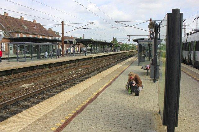 Dværgpuddel Thomsen - NEEEJ Vil ikke skilles på dum station. Nej neeeej! billede 12