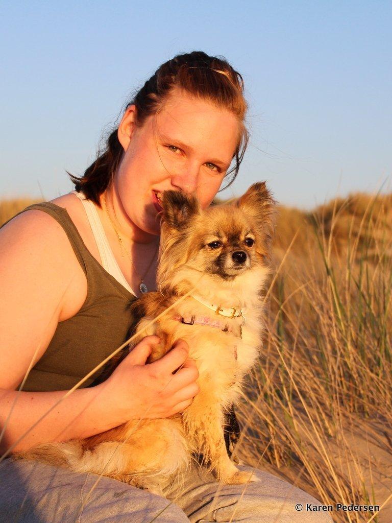 Blanding af racer Maika billede 4