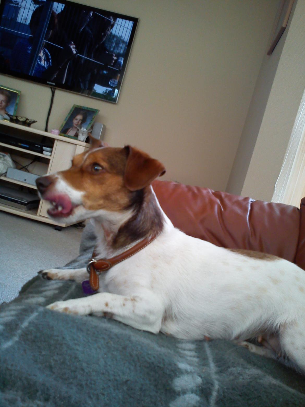 Blanding af racer signe<3 billede 6