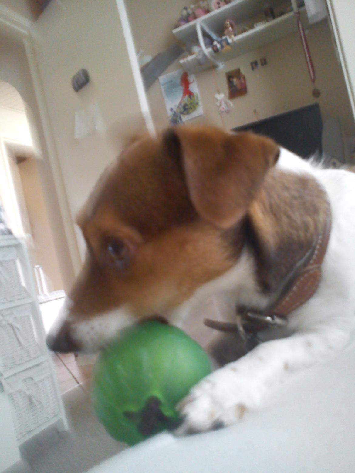 Blanding af racer signe<3 billede 8