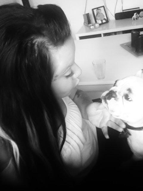 Fransk bulldog Dina billede 1