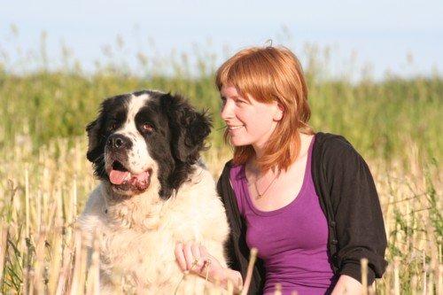 Blanding af racer Magnus billede 14