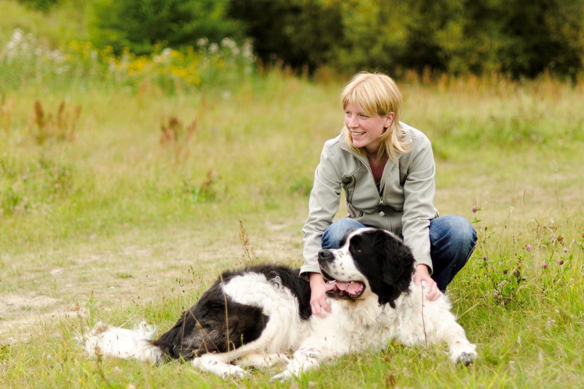 Blanding af racer Magnus - Sidste billede af min elskede hund billede 18