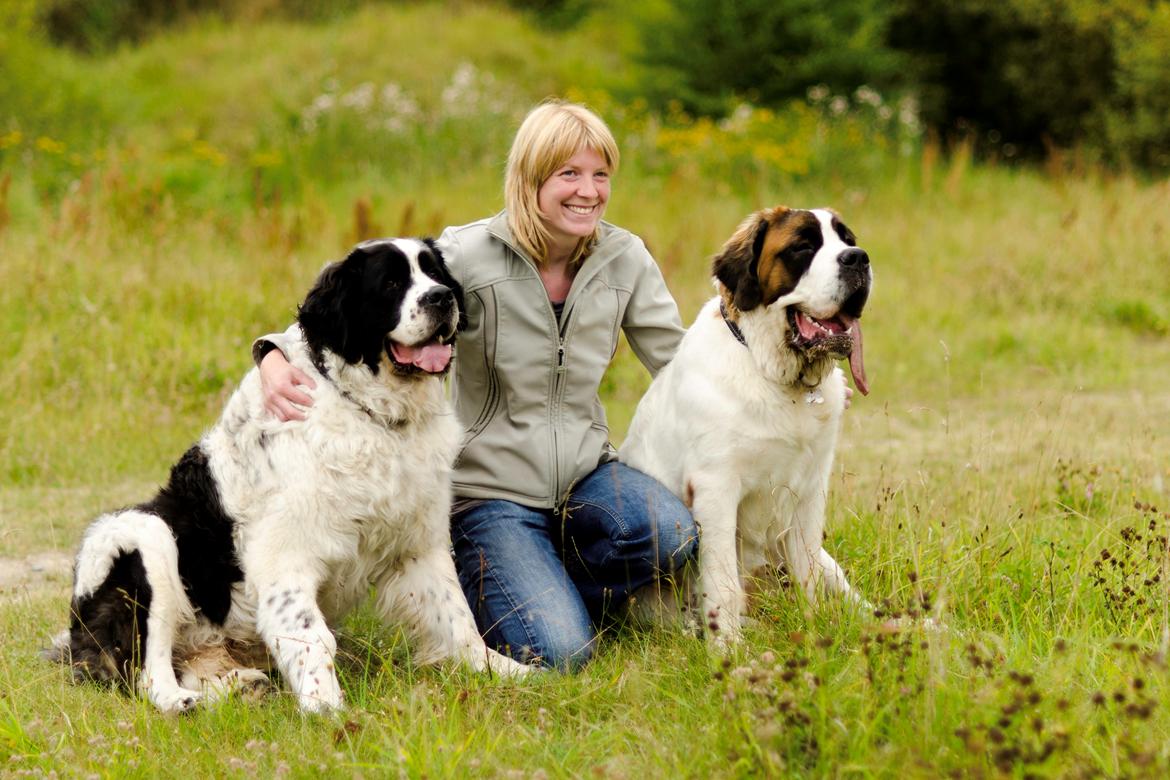 Blanding af racer Magnus - 110 kg hund :-) billede 19