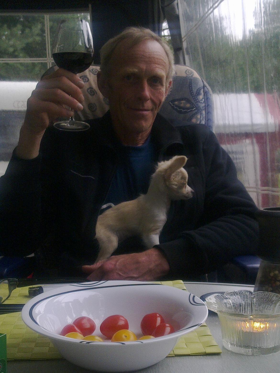 Chihuahua Allie - Lille fisen med på caming billede 6