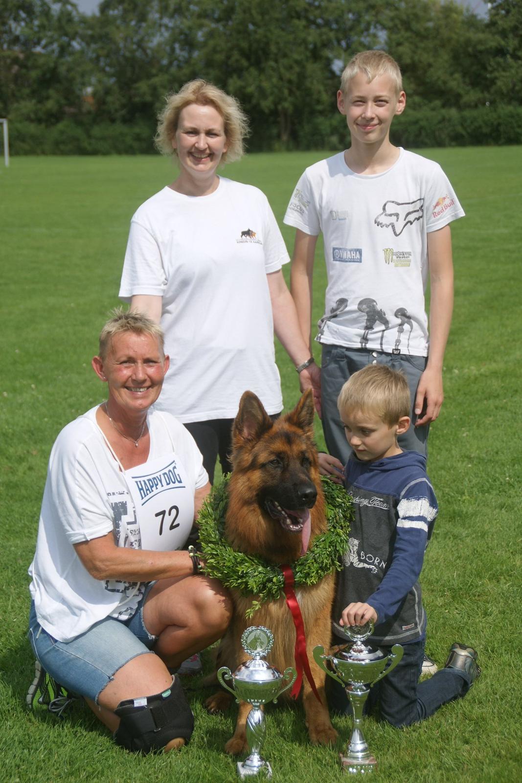 Schæferhund Hawto Rebus "Kingo" billede 4
