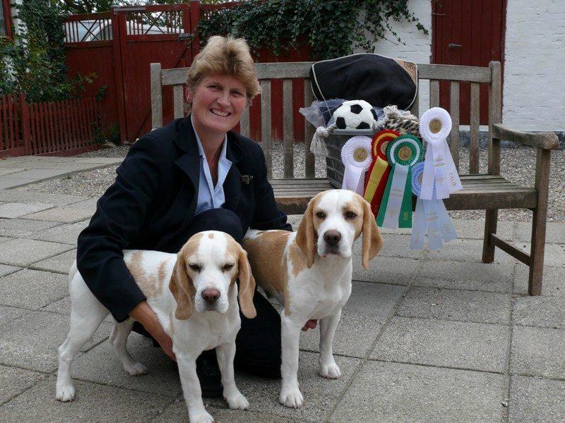 Beagle DKCH KLBJCH Free Stride's Busy Appointment - Ally og Henry. BIM og BIR i Sofiero 09-09-2012 billede 18