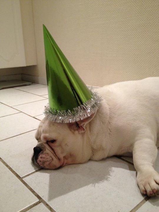 Blanding af racer Harley billede 5