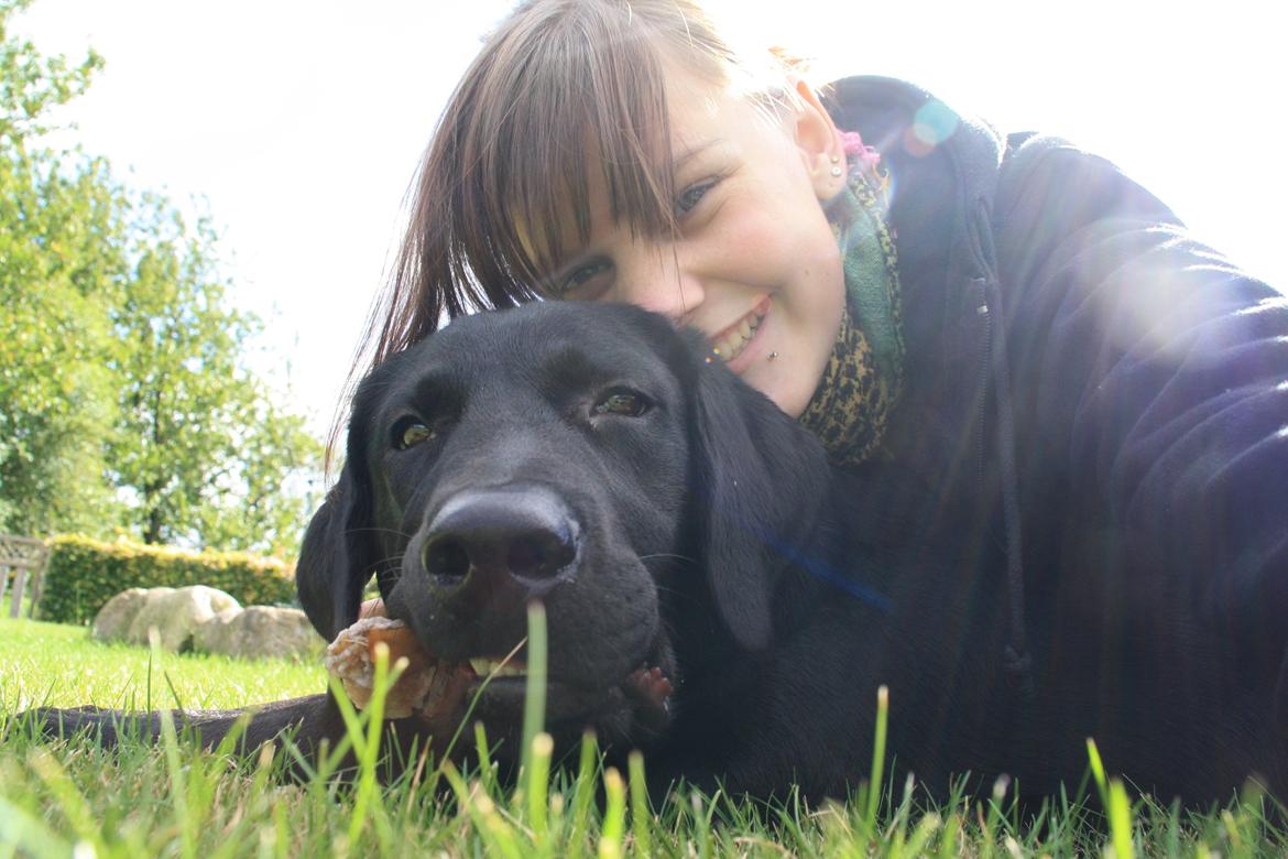 Labrador retriever Anton - Anton og jeg hygger på græsplænen. Jeg elsker dig  smukke. 03/09-2012. billede 16