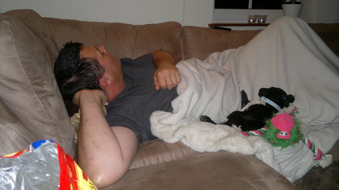 Blanding af racer Hr. Jensen  jack russel - Så hårdt at være så kær : ) billede 11