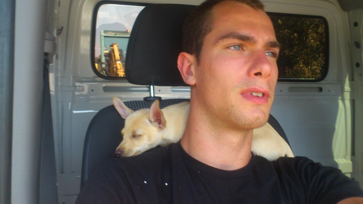 Prazsky krysarik El Futte Von Hank Hansen billede 8