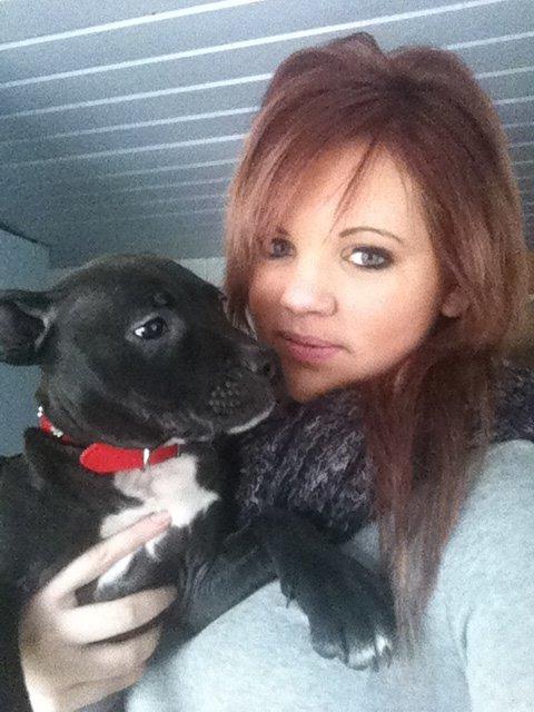 Staffordshire bull terrier Chiva - Its the one person in the world who knows you better than anyone else... billede 2