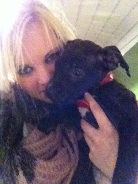 Staffordshire bull terrier Chiva - A soulmate is someone you carry with you forever... billede 4