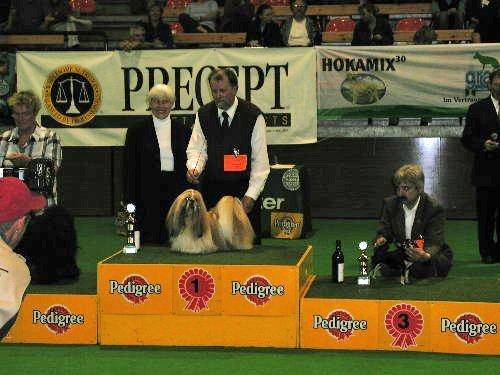 Shih tzu Big Choice Mei Royal Air Force - Neumünster 2004. fantastisk dag. BIS-1 ud af ca 3.000 hunde.
Dagen gik bare for hurtigt. billede 9