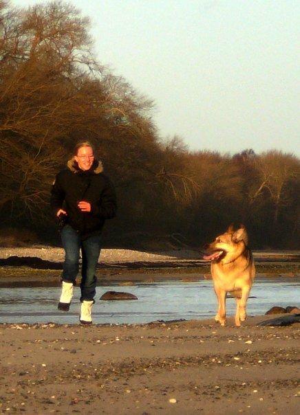 Schæferhund Yoda R.I.P billede 10