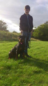 Rottweiler Ai-Jen-Caia billede 3