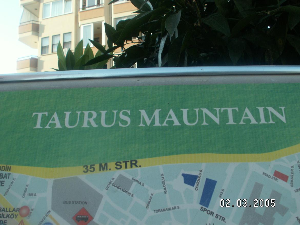 Dalmatiner Labrador Sir. Taurus II LØVEN II billede 15